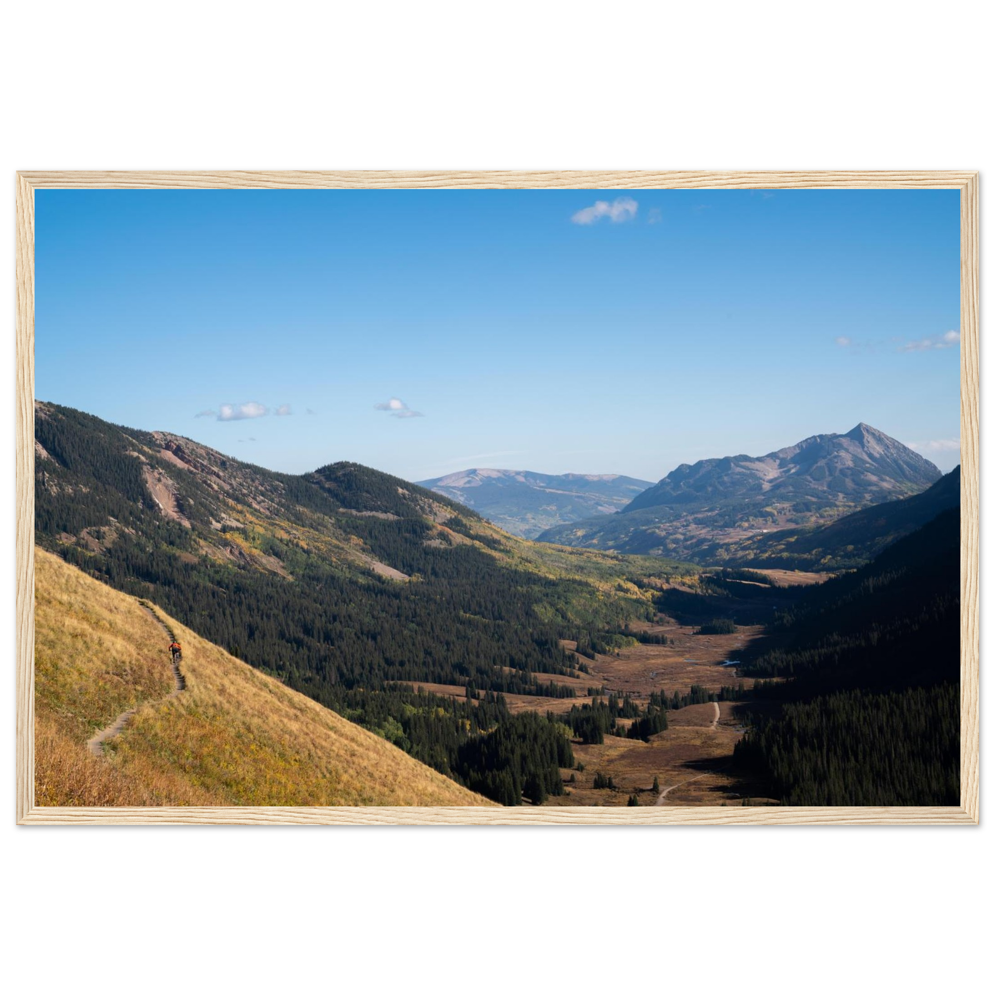 Mountain bike trail photography print from Crested Butte Colorado with blue sky golden aspens, adventure wall art, framed