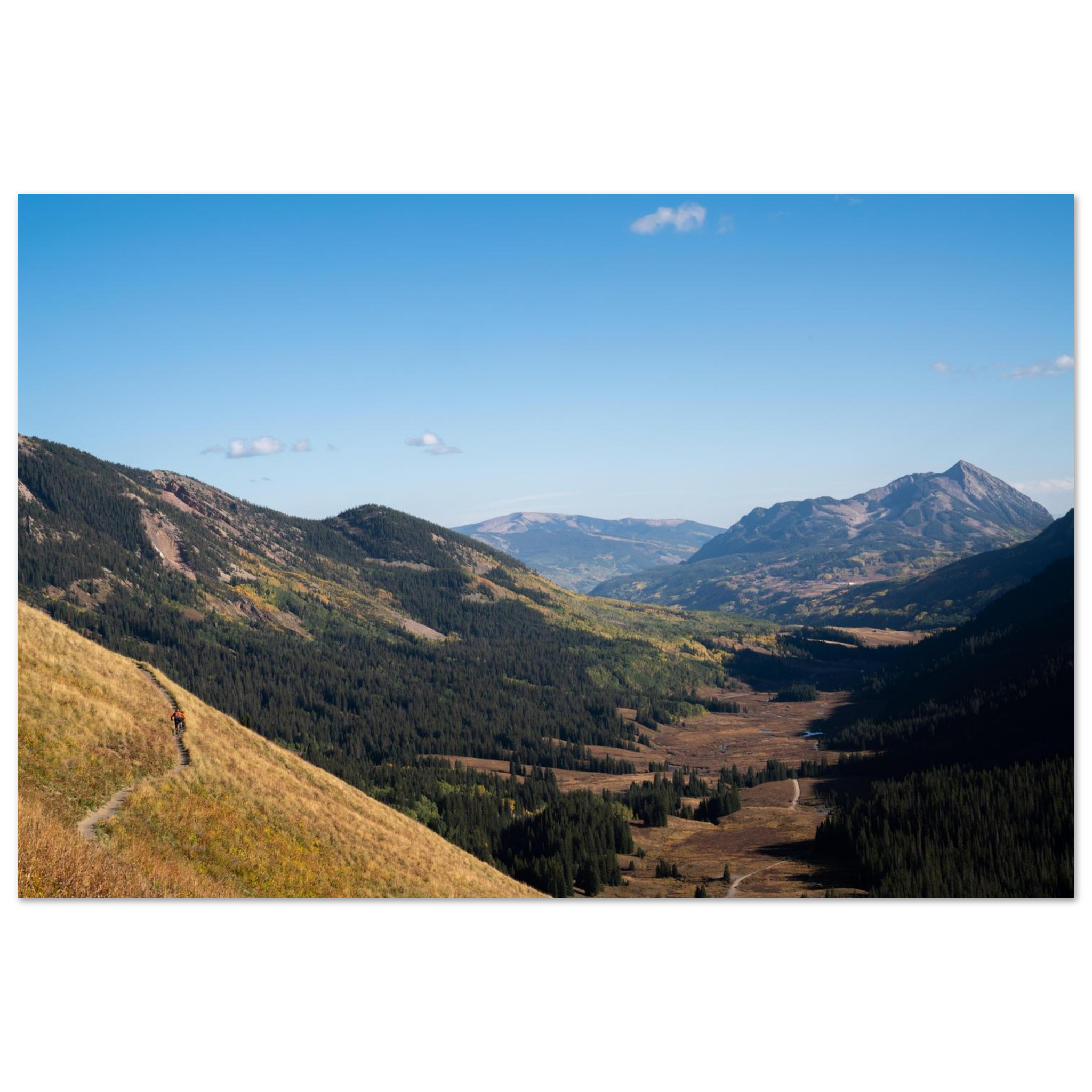 Mountain bike trail photography print from Crested Butte Colorado with blue sky golden aspens, adventure wall art