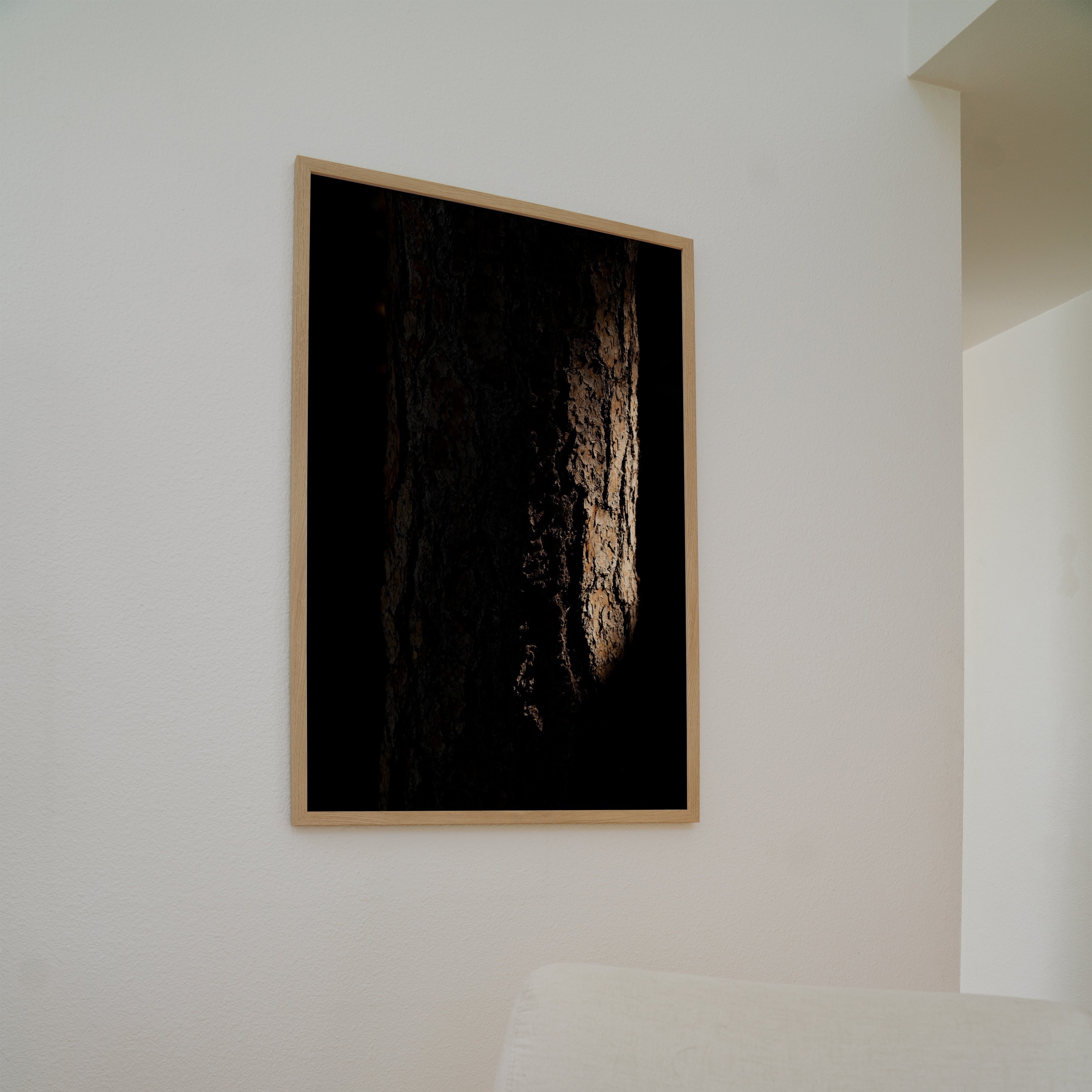 Bark & Light tree photography print displayed on wall above white chair, moody nature wall art styling inspiration