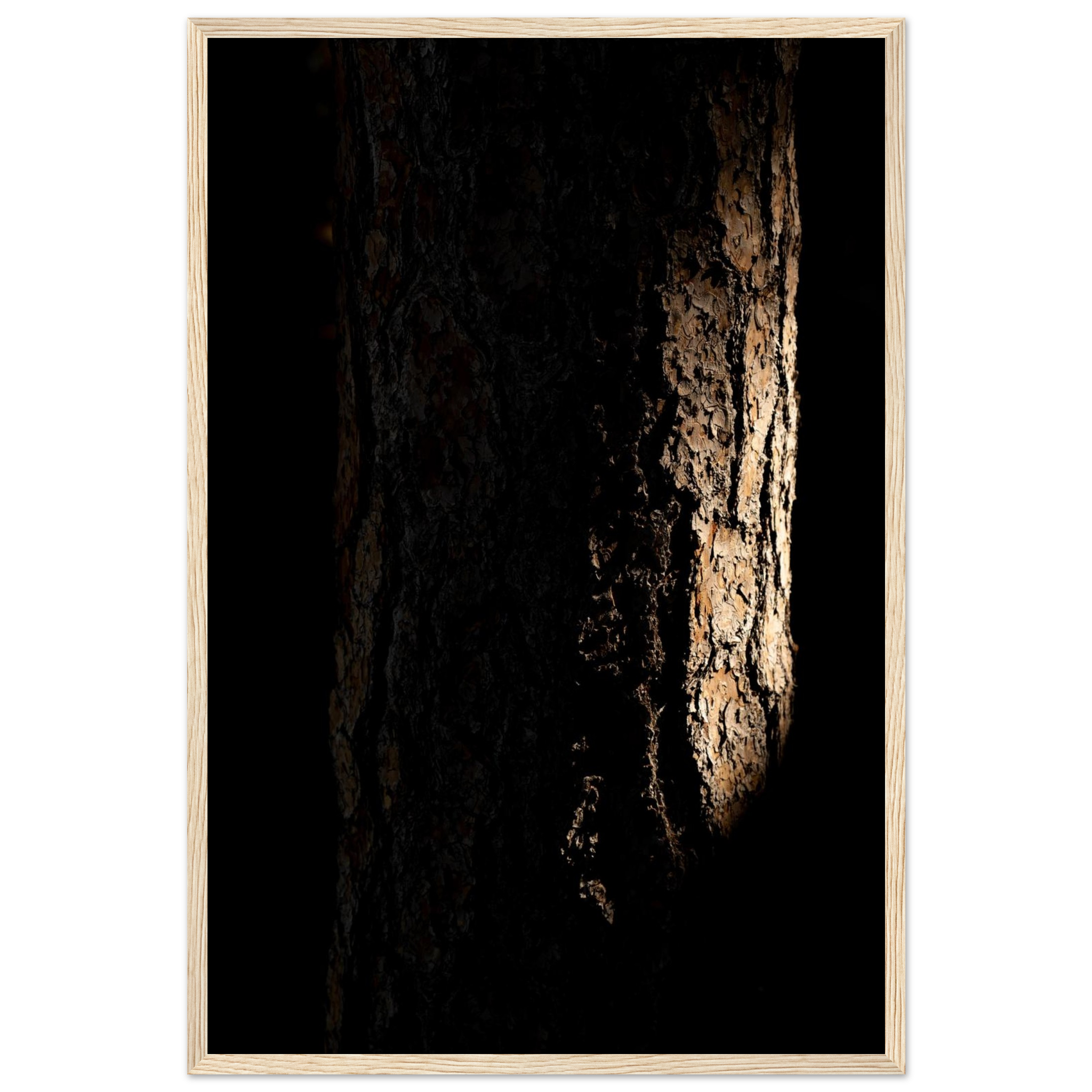 Moody tree bark photography print in brown and black with textured details, nature wall art, framed