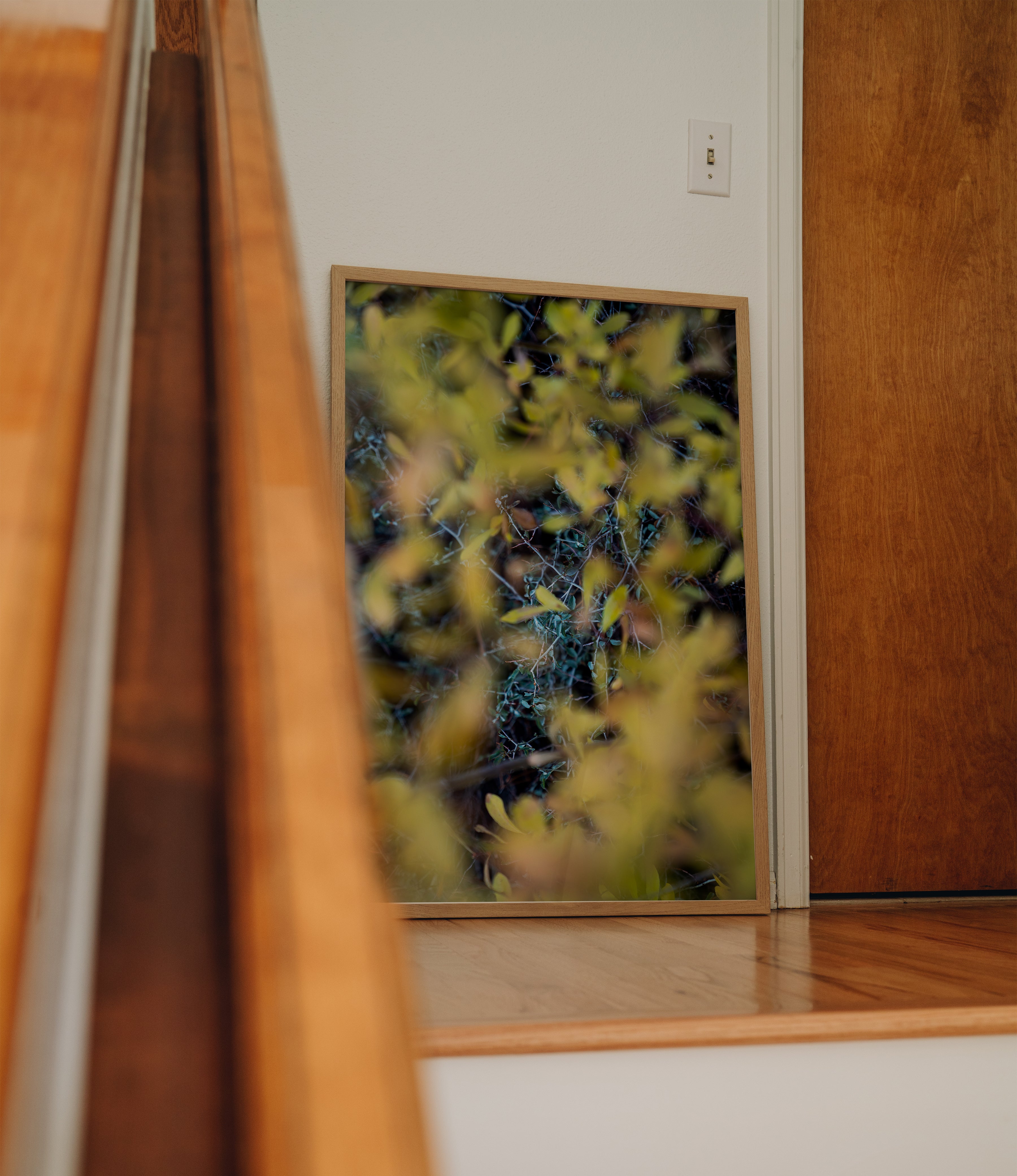 Forbidden Fall autumn foliage photography print in wooden frame leaning against hallway wall on hardwood floor
