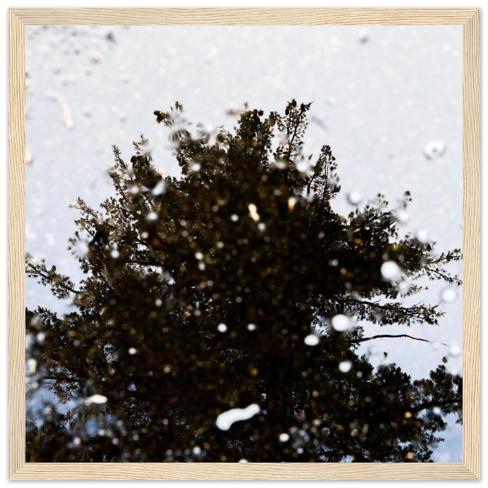 Nature photography print with water droplets and green tree canopy in blue and white, textured botanical wall art, framed